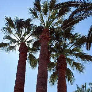 https://apartamentos-les-palmeres.catalonia-hotels.com